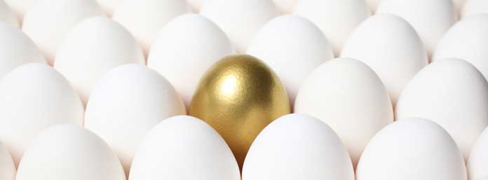 Creative Ways To Make Your Nest Egg Grow